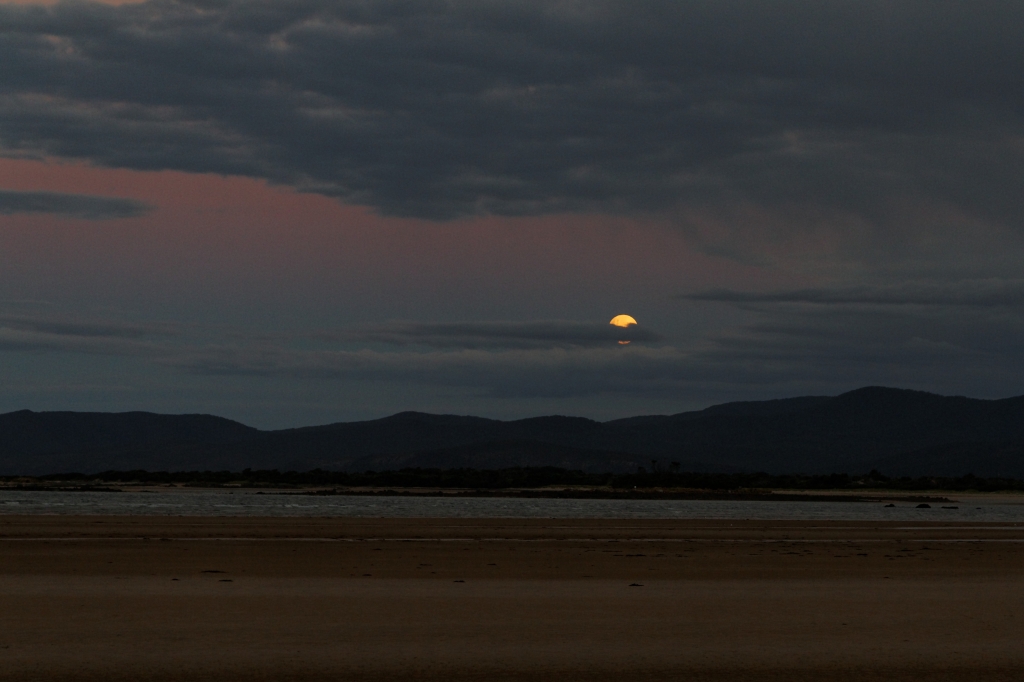 22 - Wynyard (7).jpg